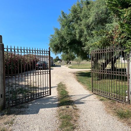  La Parenthèse   gîte en Camargue Arles Extérieur photo