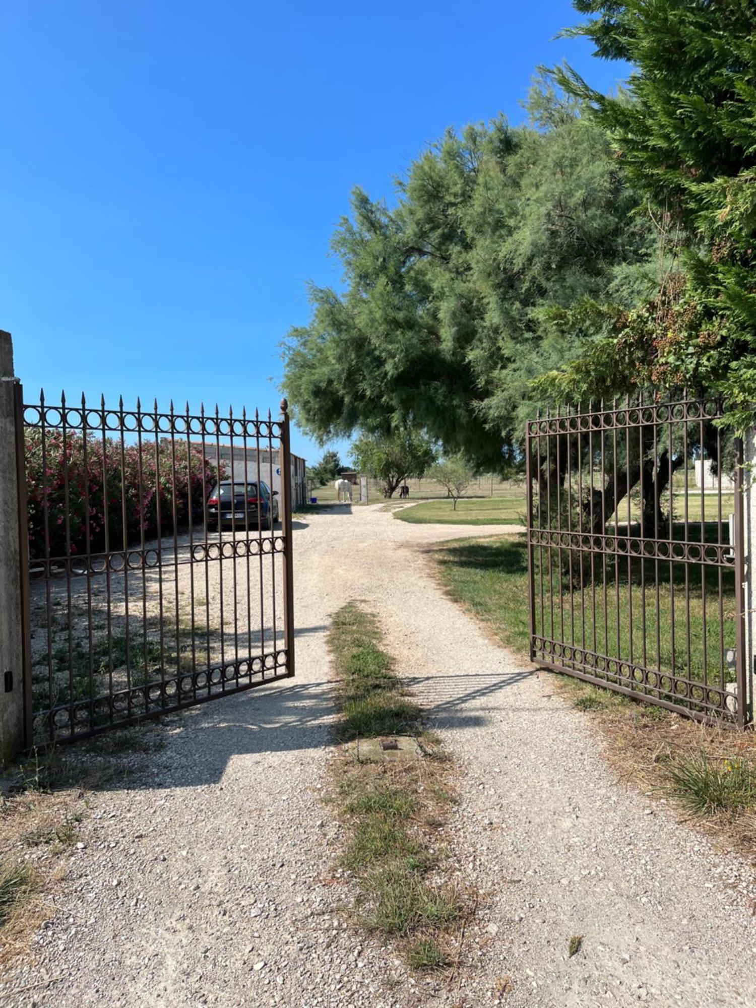  La Parenthèse   gîte en Camargue Arles Extérieur photo